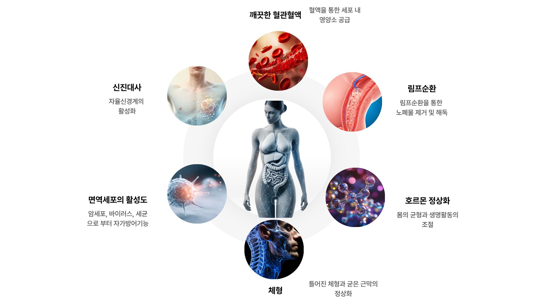 HQ다이어트 기전